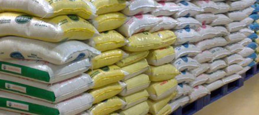 Germany invests Two Million Euros in Nigeria’s rice production