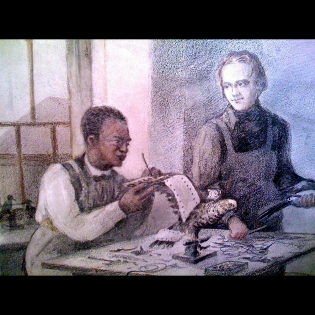 John Edmonstone