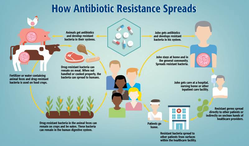 Zambia breaks new grounds in tackling antimicrobial resistance